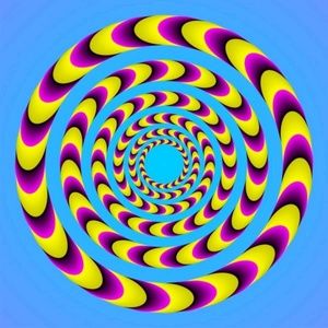 Meet your Posher, Elayne